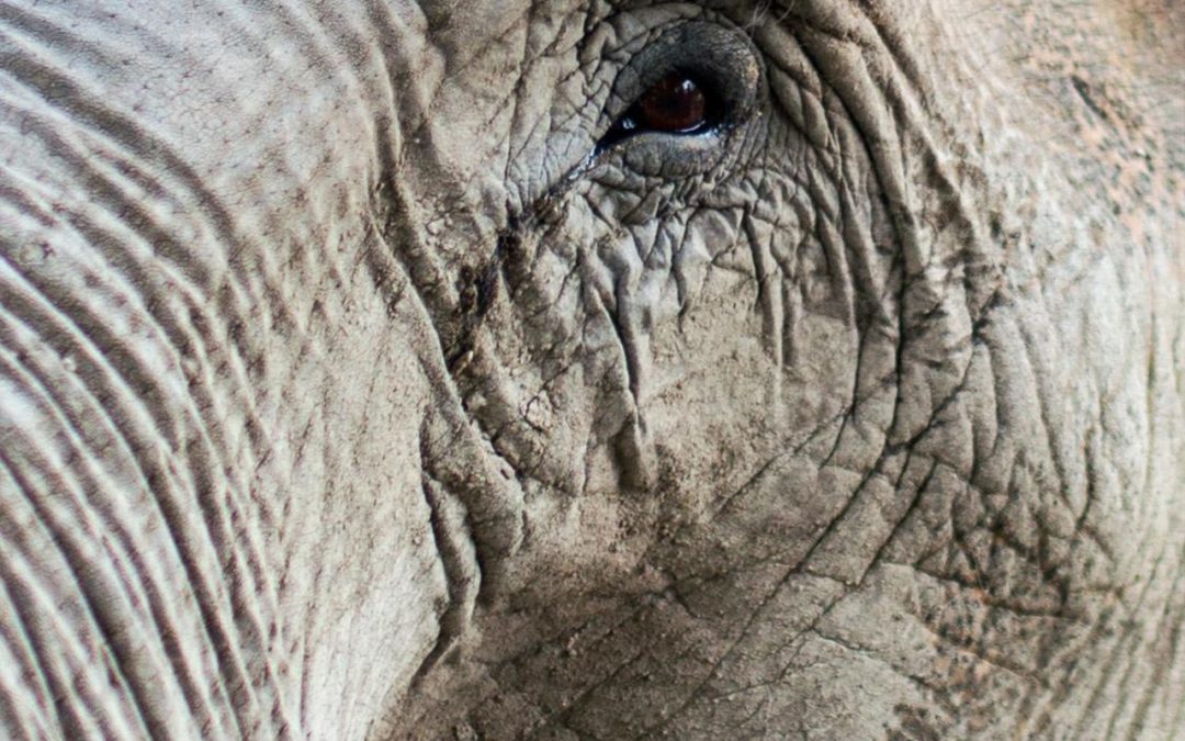 Die Fragilität der Atmosphäre