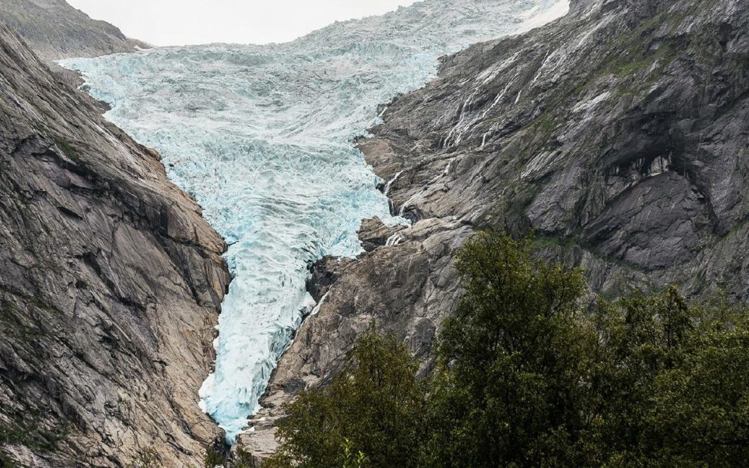 Klimawandel, Humus und Gesundheit