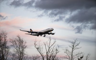 Soll die Lufthansa gerettet werden?