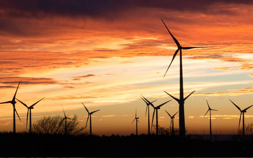 Der Rebound-Effekt gilt auch für den Welthandel