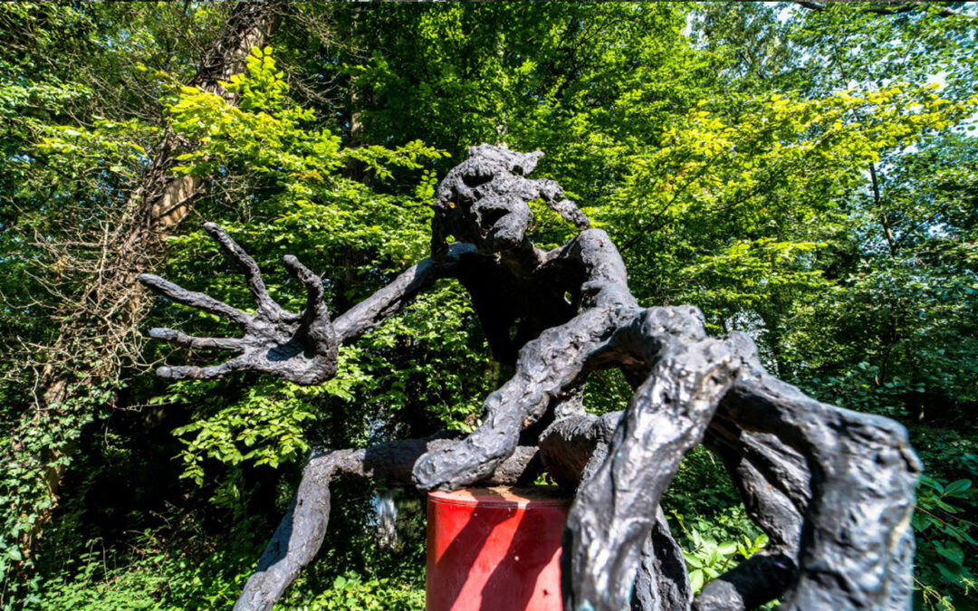 Der deutsche Wald im Dschungel des Zertifikatehandels