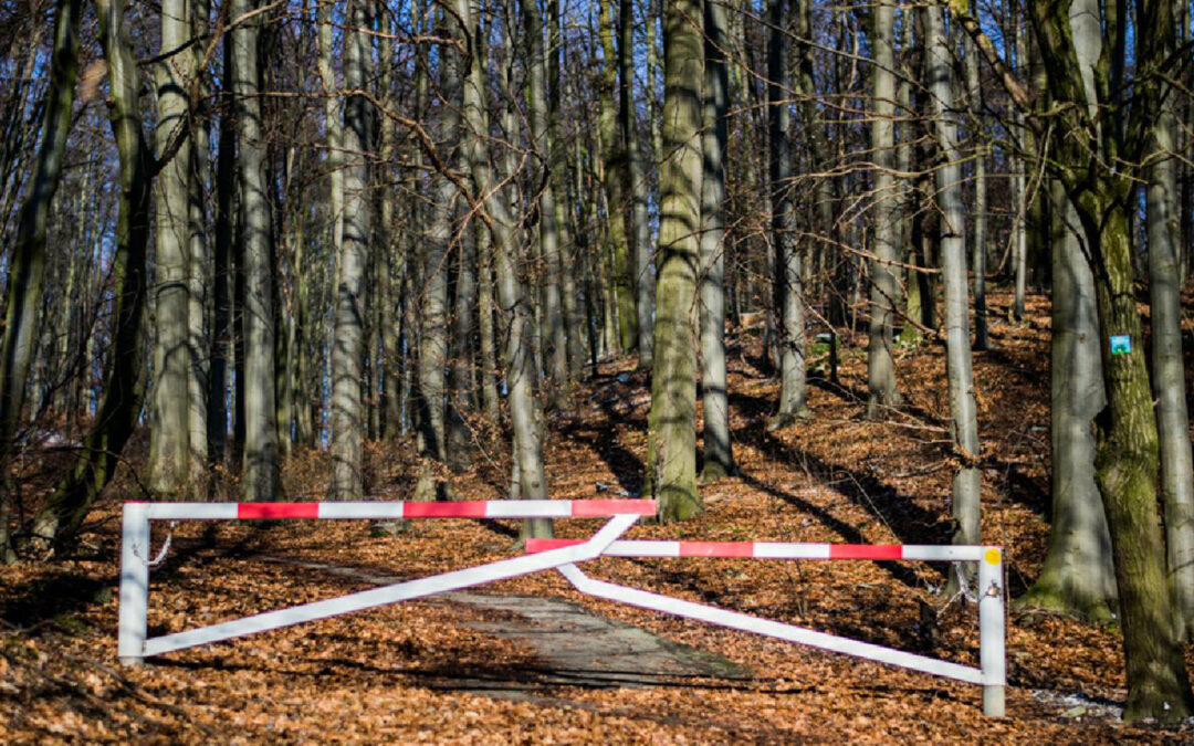 Windräder ja bitte, aber…