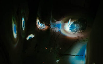 Der Klimawandel und die Zuordnungs-wissenschaft